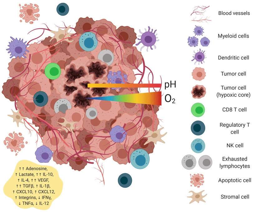 Components-of-the-tumor-microenvironment.png?type=w1