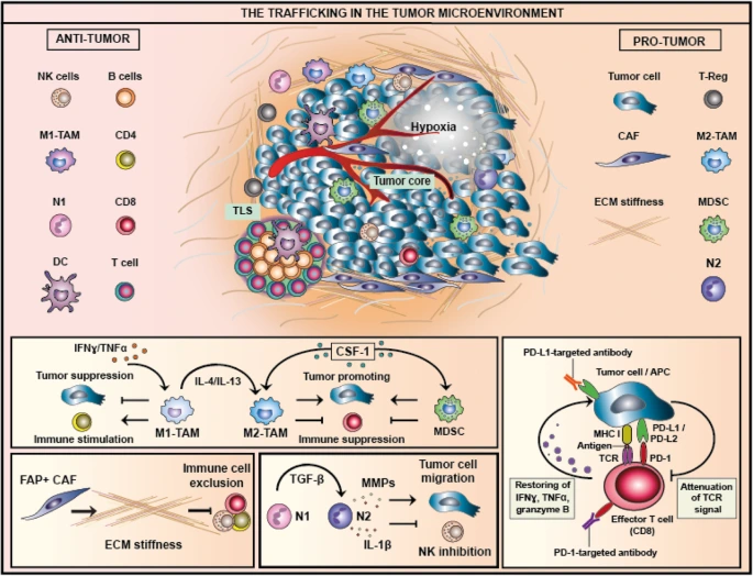art_3A10_(3).png?type=w1