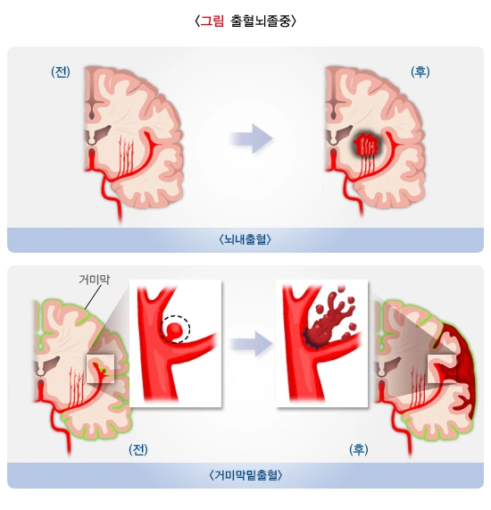 image_(2).png?type=w1