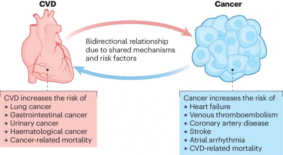 art_3A10_(1).png?type=w1