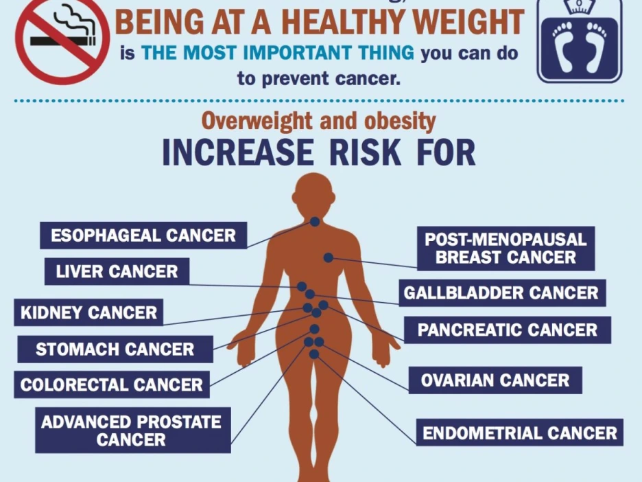 obesity-and-cancer-july-2016-cropped-1200x900.png?type=w1