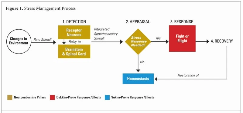 MDAxNTIzOTM3OTA5NjI2.u88rvrK69idMvKrzA51HTSAGMlSwExiE6PVctmb5kIwg.AvXfJGdL8f.png?type=w1