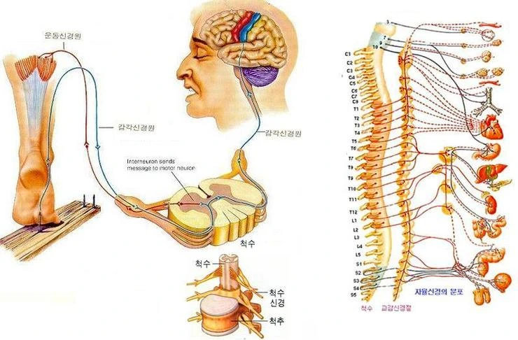 _C5_EB_C1_F51_msnayana.png?type=w1