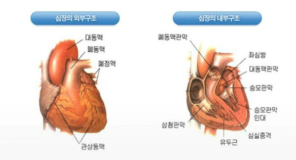 43137_151007_1251.png?type=w1