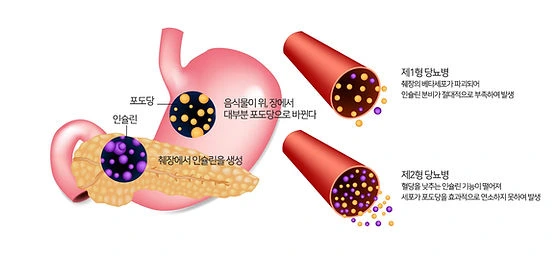 4cb5ab_063ad55f94a84a54988db1fd620e186amv2.png?type=w1