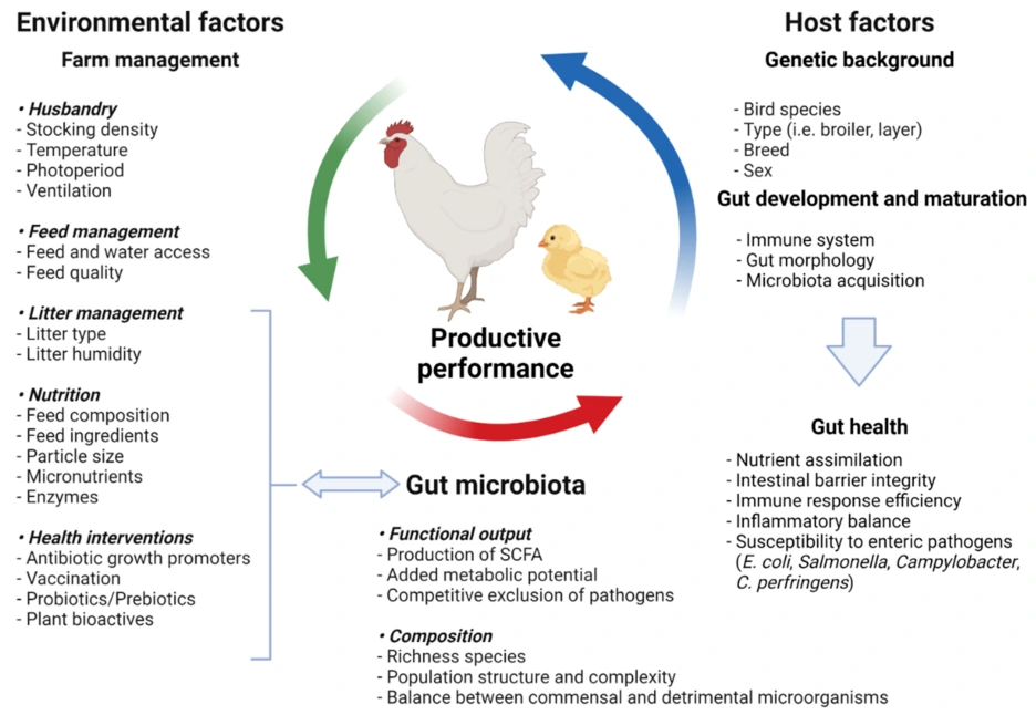 microorganisms-10-00395-g001.png?type=w1