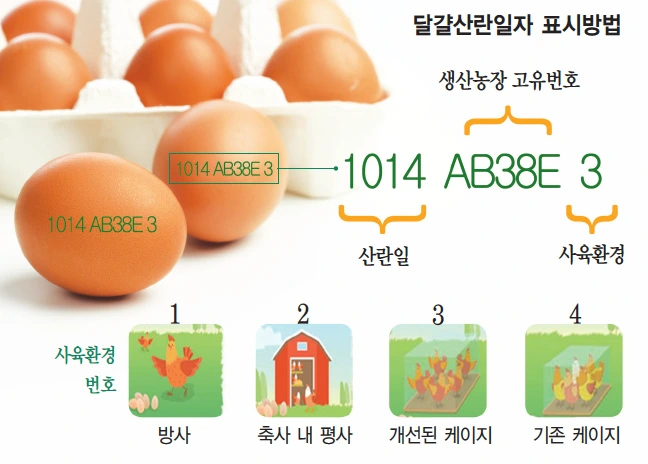 82364_62481_857.png?type=w1