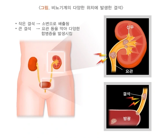 image_(2).png?type=w1