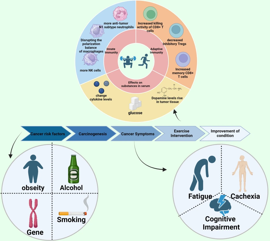 fimmu-15-1474770-g001.png?type=w1