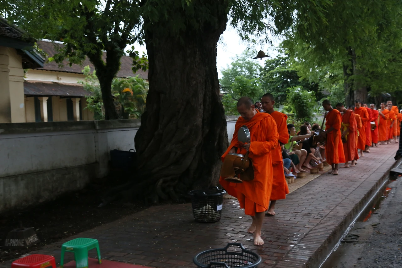 IMG_8133.JPG?type=w3840