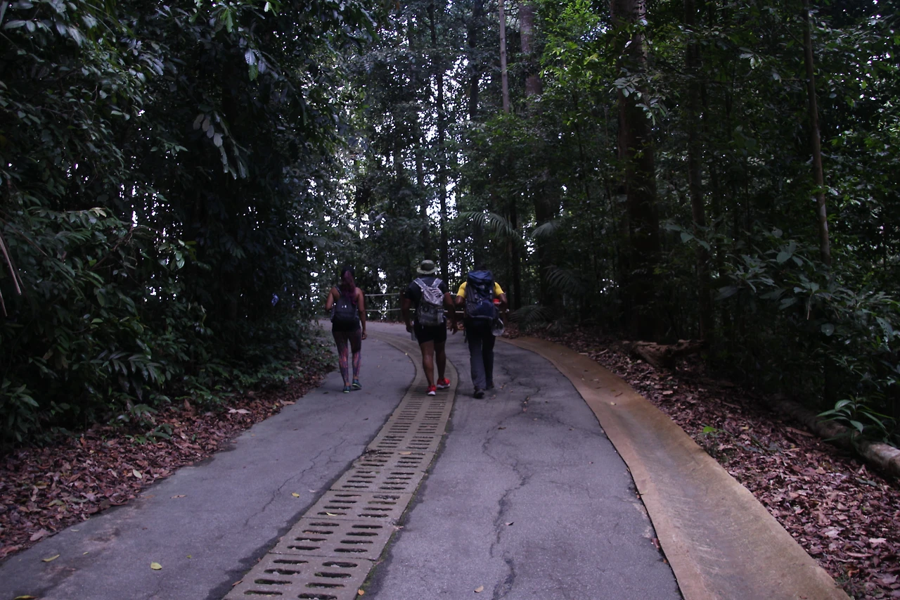 IMG_1116.JPG?type=w3840