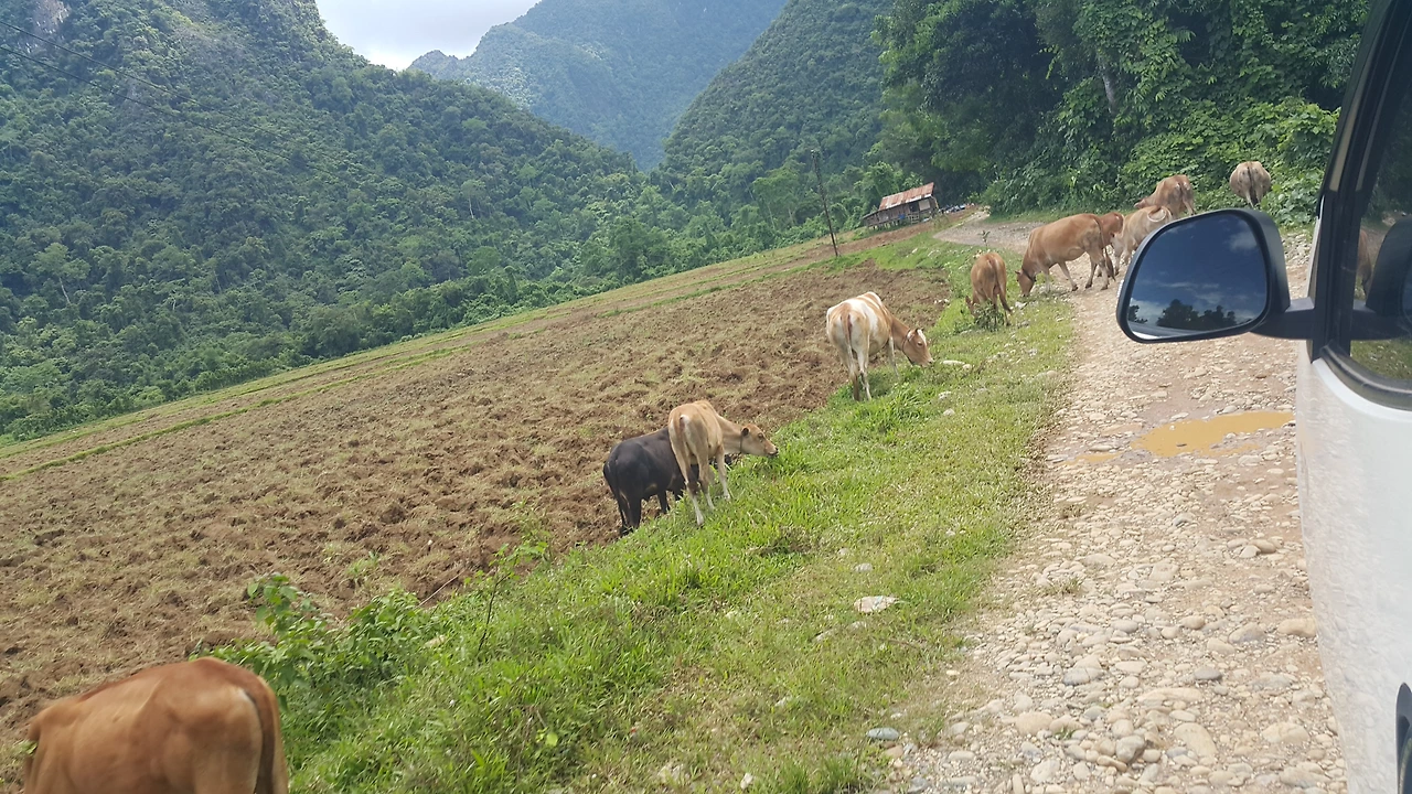 20170610_133245.jpg?type=w3840