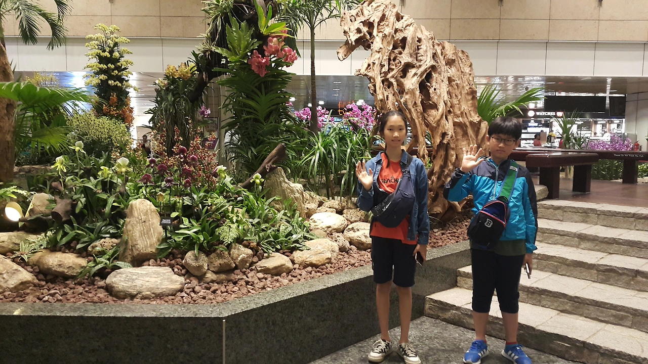 20170605_113109.jpg?type=w3840