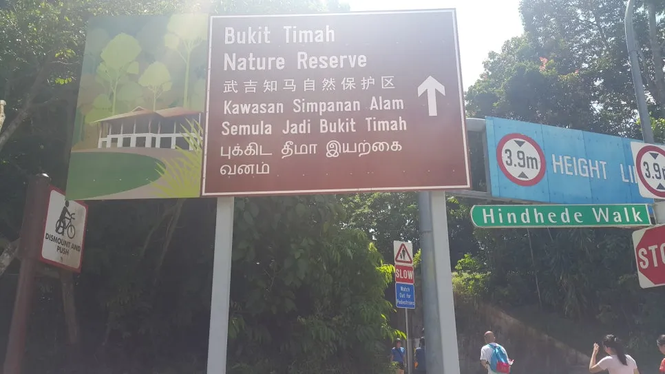 20170604_115021.jpg?type=w966