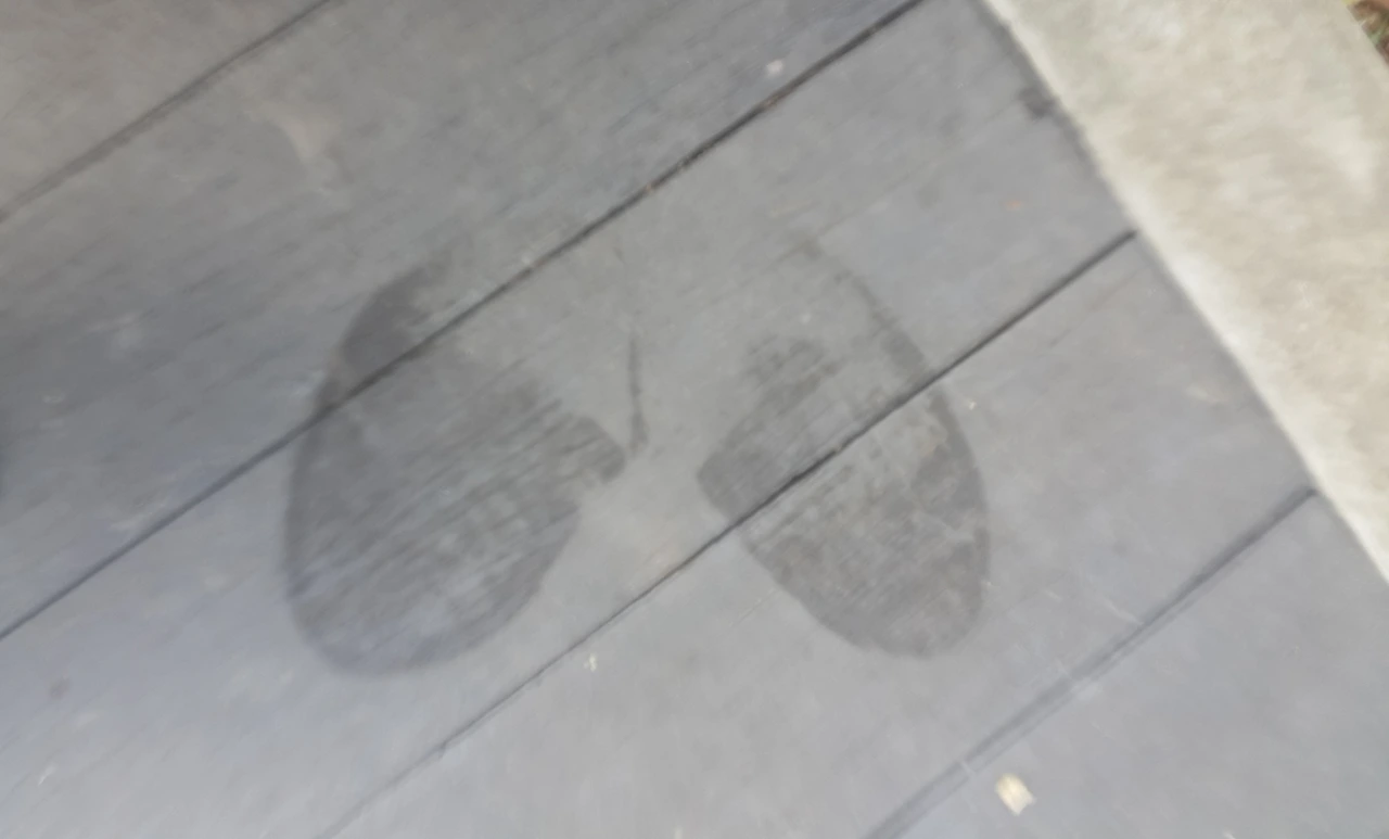 image_8140531901512145818903.jpg?type=w3840