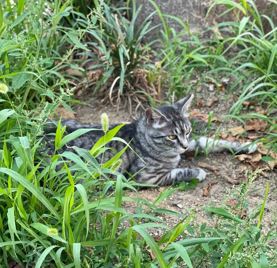 g5yv75i5yAdt_aRDy-hqobxsie7SmHbNkO3xTgFa5KDlr3guqHv43TS1Y9vBl7gjJVkTRsQlYktRMHyLUu_8sjak9_lCNr5-3KItp8hVnSenjtx-yD49y_n2_HAKyFECoQHWT8ln=s0