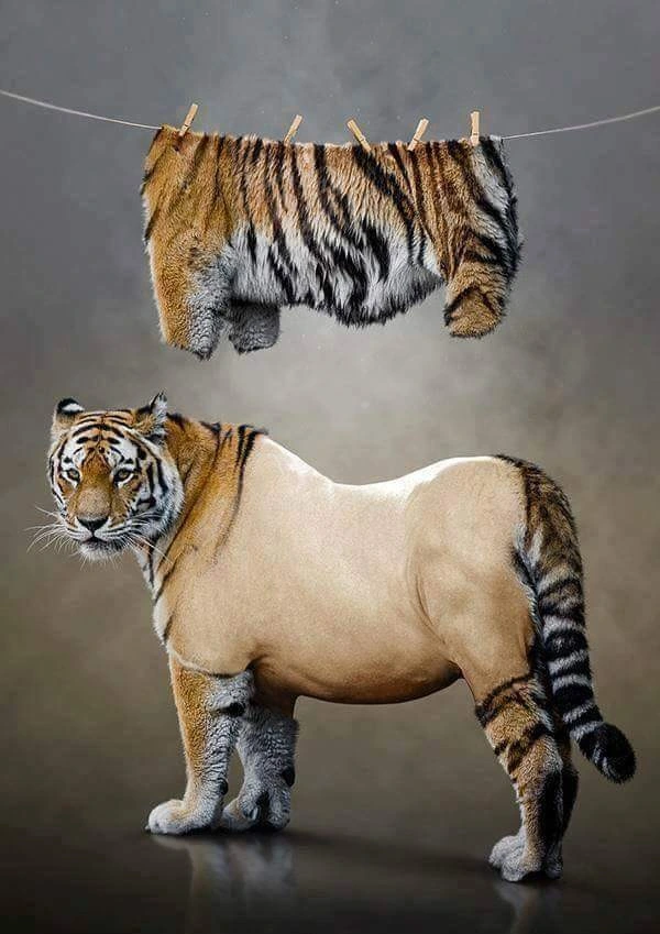 73mKeNzz14D6sF5Qq37AQJG_QW7FvB69-ArclN4Y2oskM820aFDxv4hk2RL9Q4Hw-PWELjDb03LzjALN2TBHJFPOqHPuP2xoFlDumzCBEsYUNUkpVjoo_QYQEYCpLS_aa9HzOBJC=s0