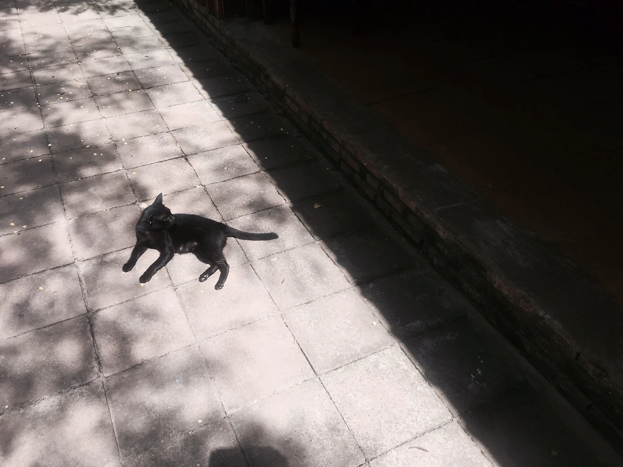 P20170904_120345002_95D54E08-DF92-418C-9646-F3F7E8E4B12F (1).JPG