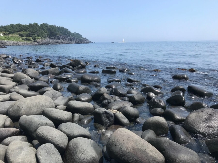 IMG_9484.jpg?type=w966