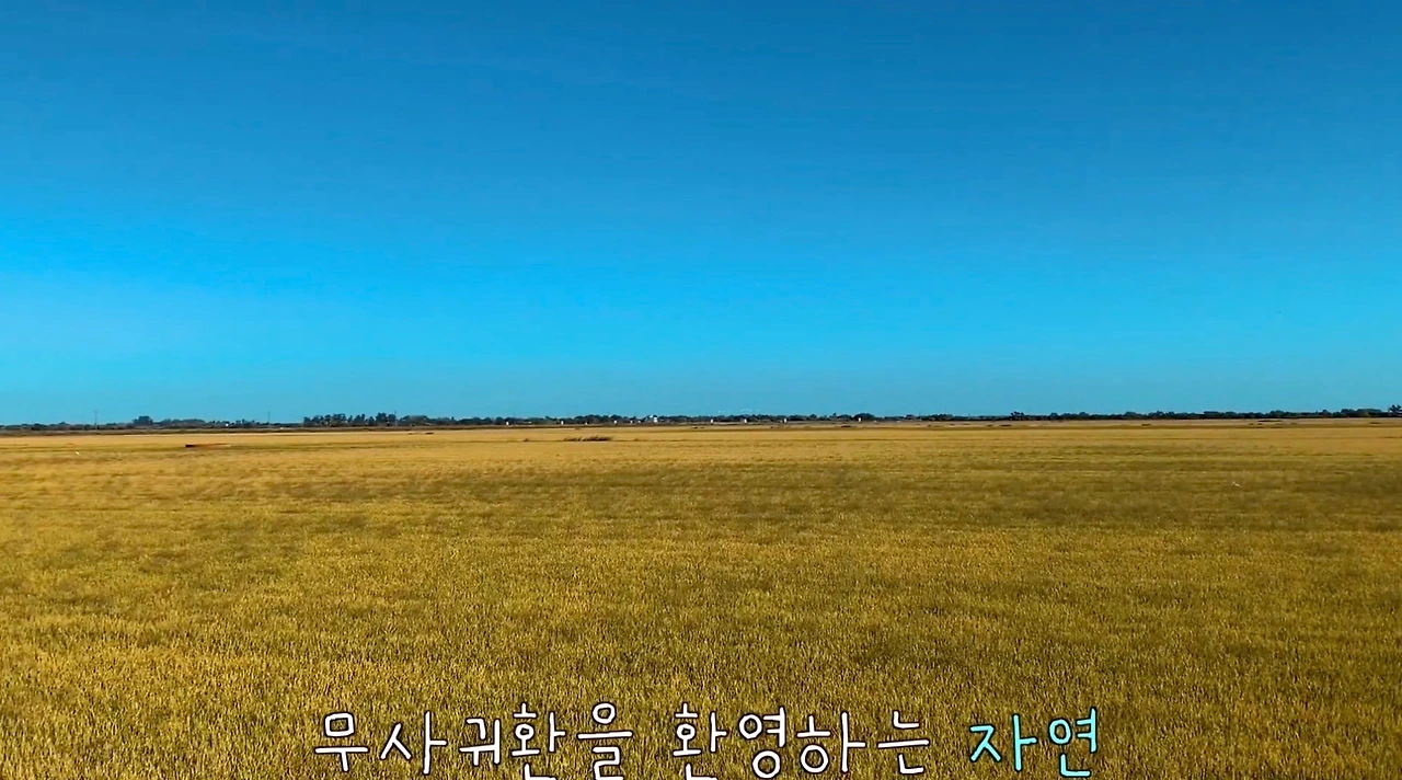 스크린샷 2023-03-05 오전 11.17.12.JPG