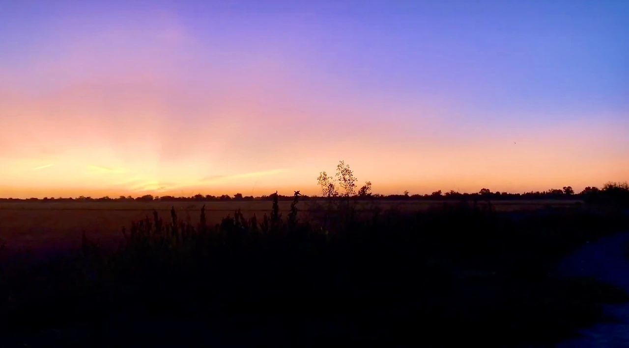 스크린샷 2023-03-15 오후 3.32.11.JPG