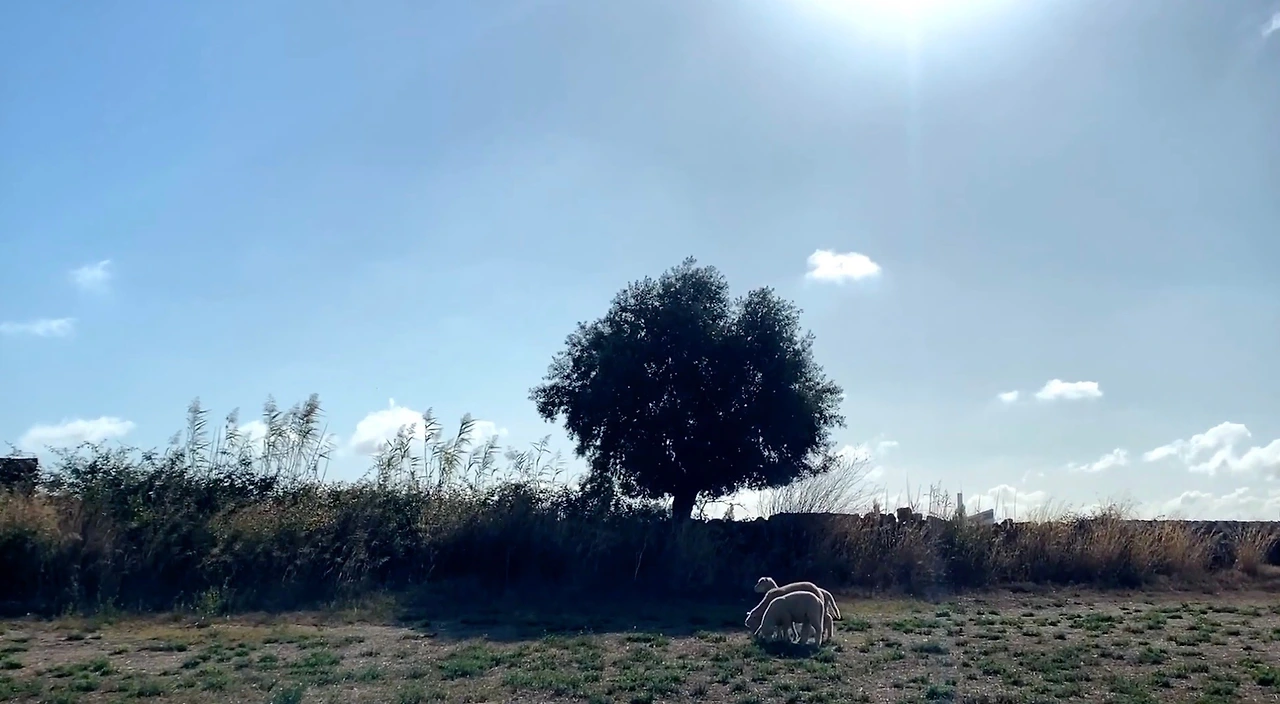 스크린샷 2023-03-05 오전 11.11.22.JPG