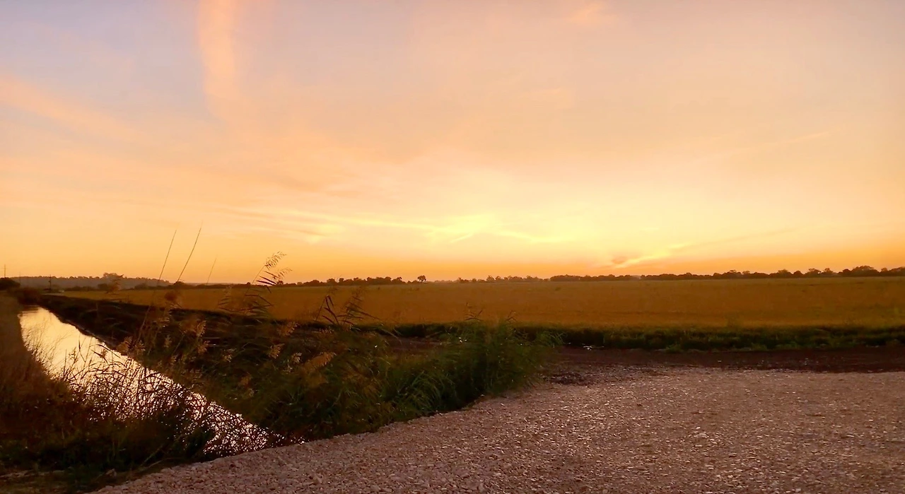 스크린샷 2023-03-15 오후 3.32.33.JPG