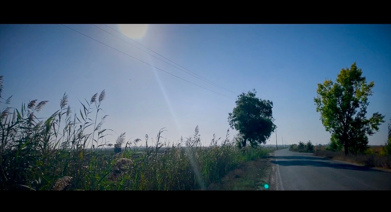 스크린샷 2023-03-15 오후 3.35.24.JPG