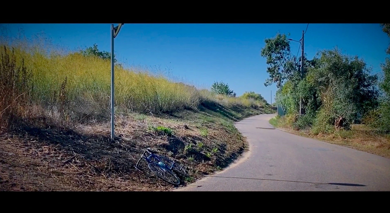 스크린샷 2023-03-15 오후 3.35.20.JPG