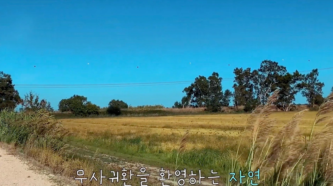 스크린샷 2023-03-05 오전 11.17.05.JPG