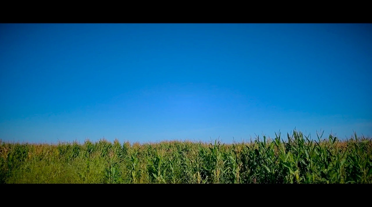 스크린샷 2023-03-15 오후 3.35.14.JPG