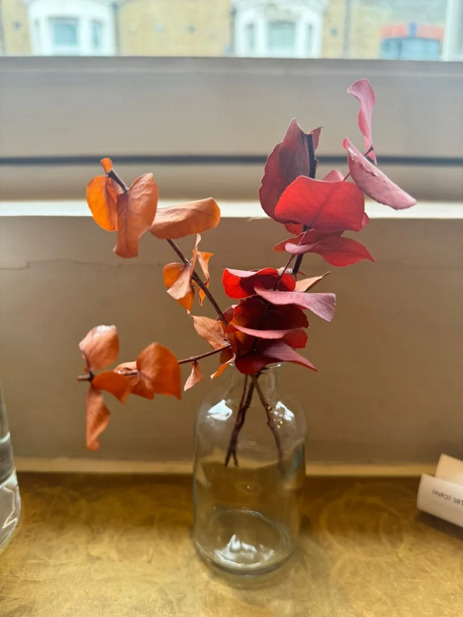 KakaoTalk_20241122_195111548.jpg?type=w1