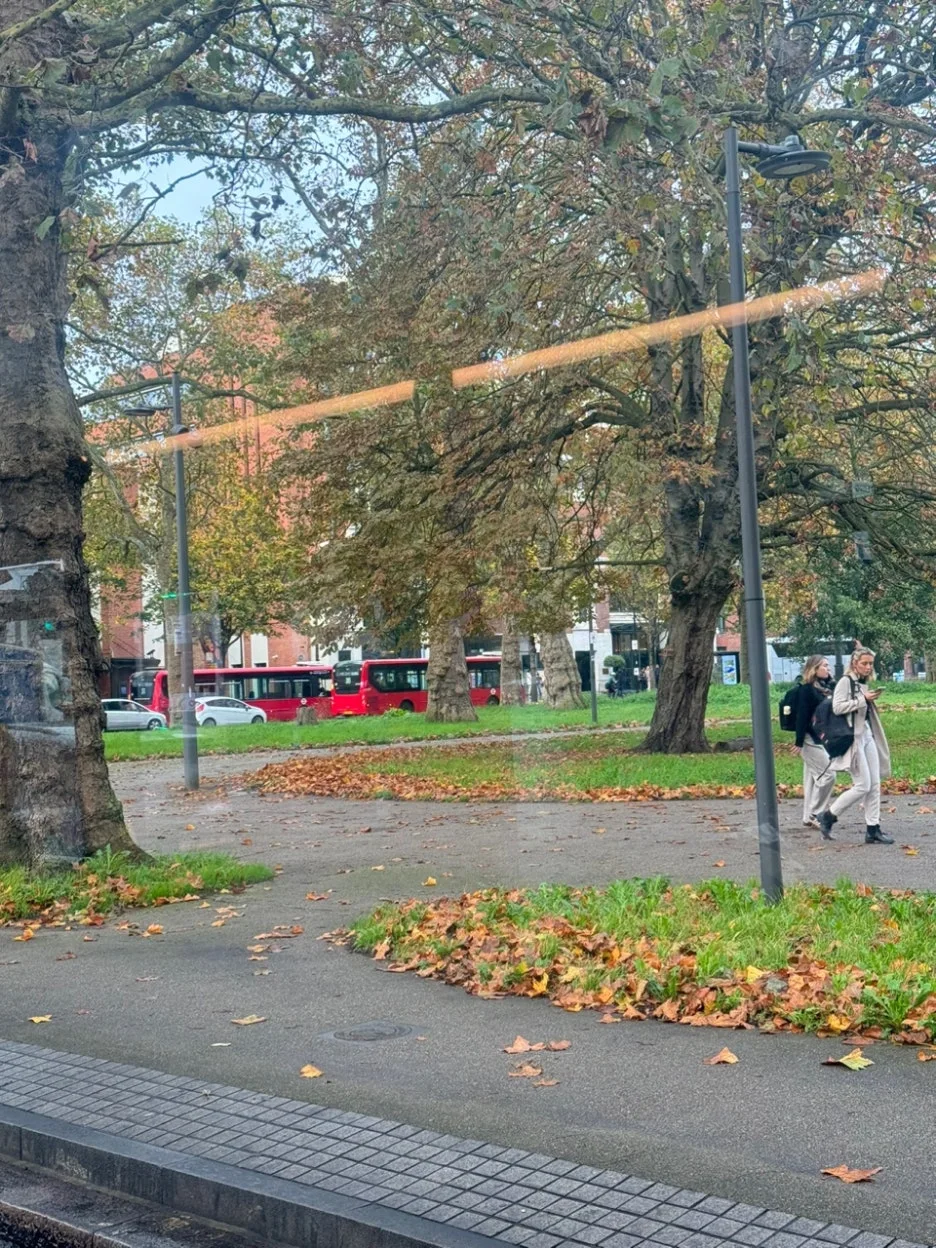 KakaoTalk_20241031_200429914.jpg?type=w1