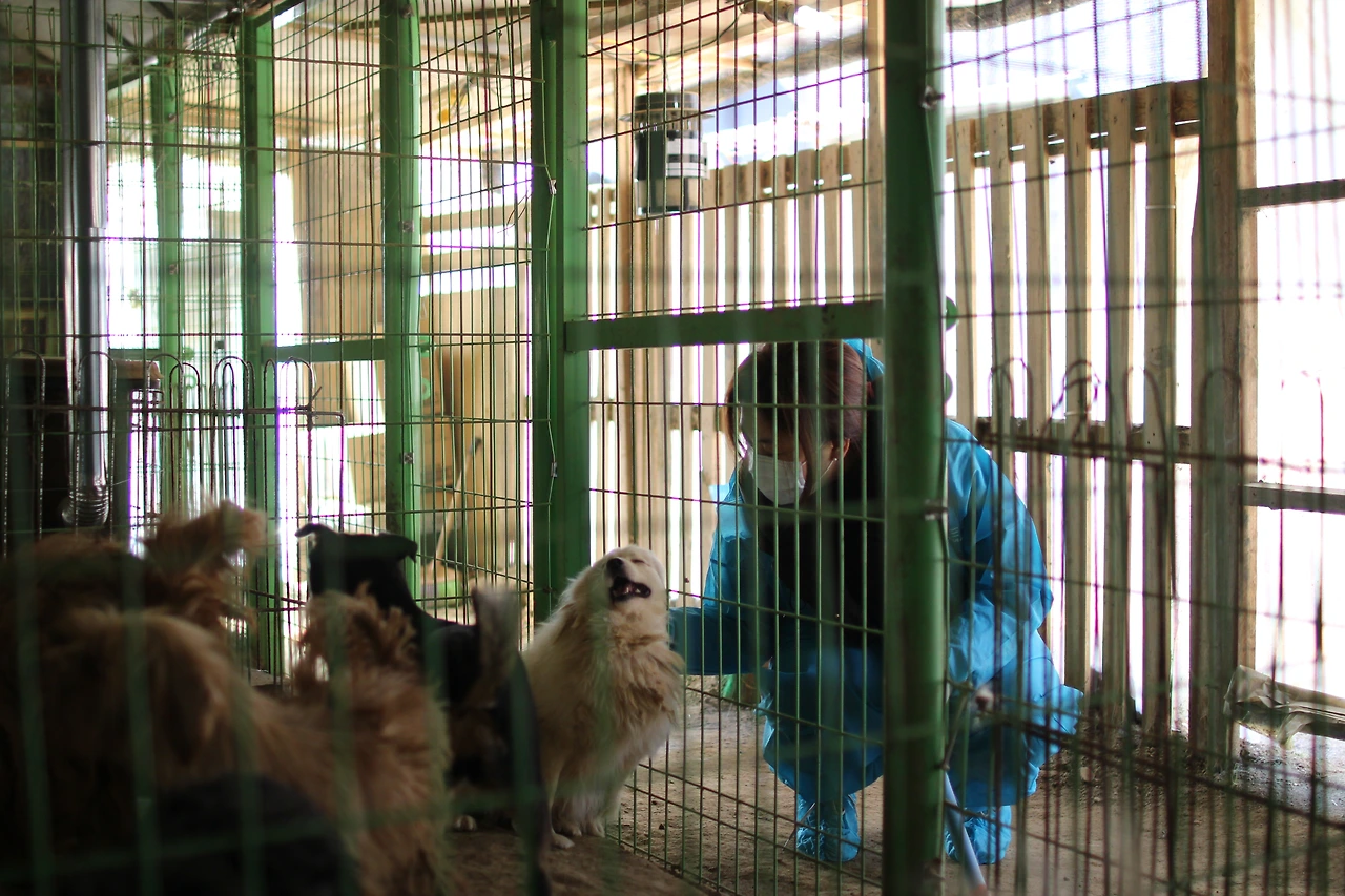 달봉이네 (1).JPG