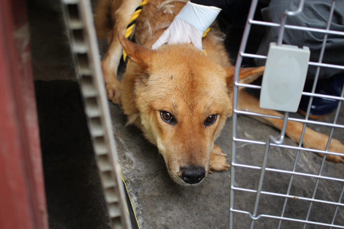 구포 개시장 구조 (17).JPG