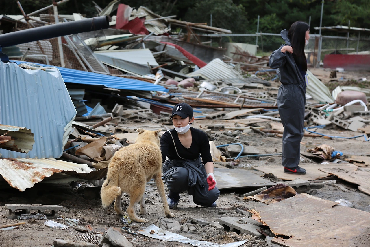애린원 구조현장 (1).JPG