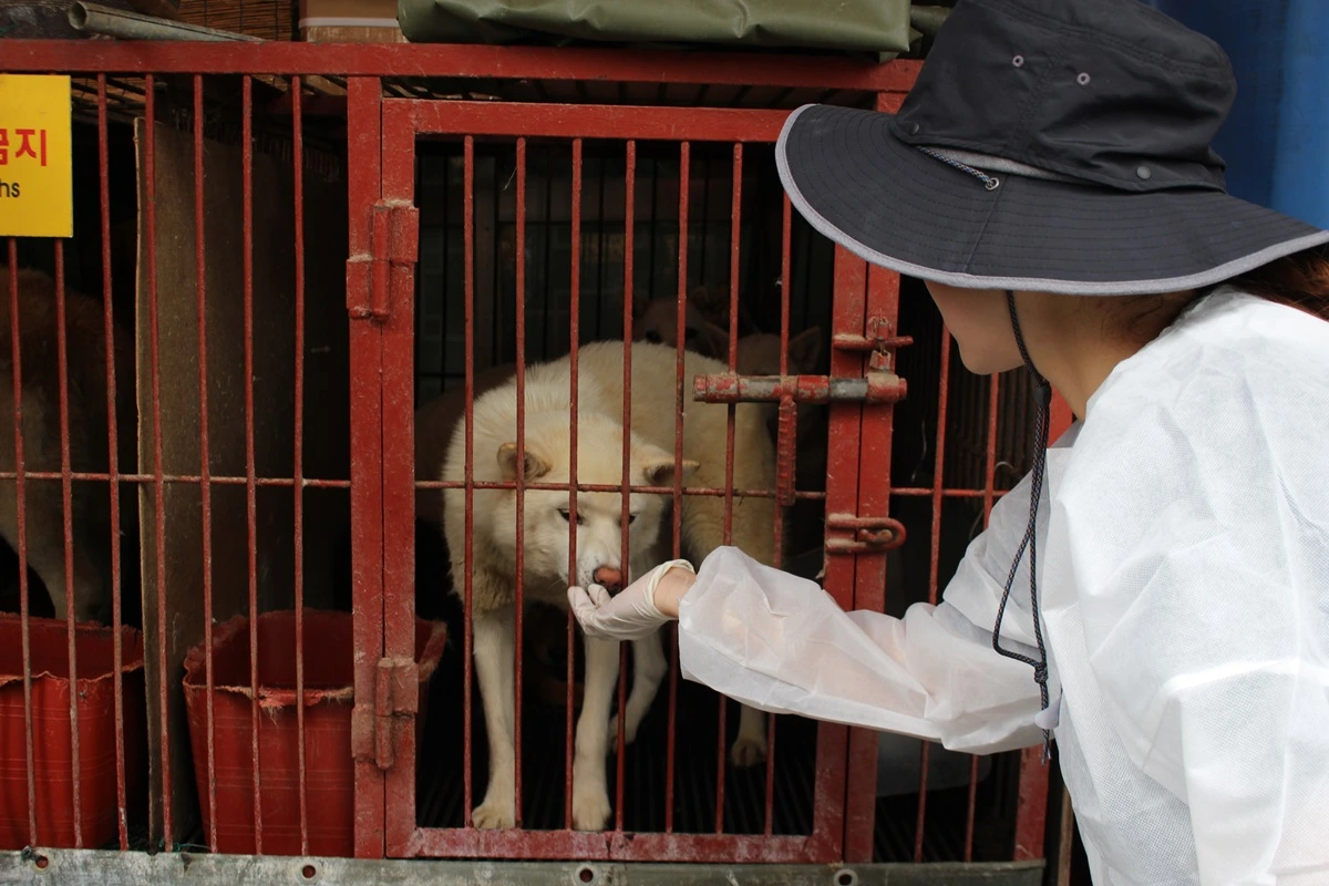 구포 개시장 구조 (5).JPG