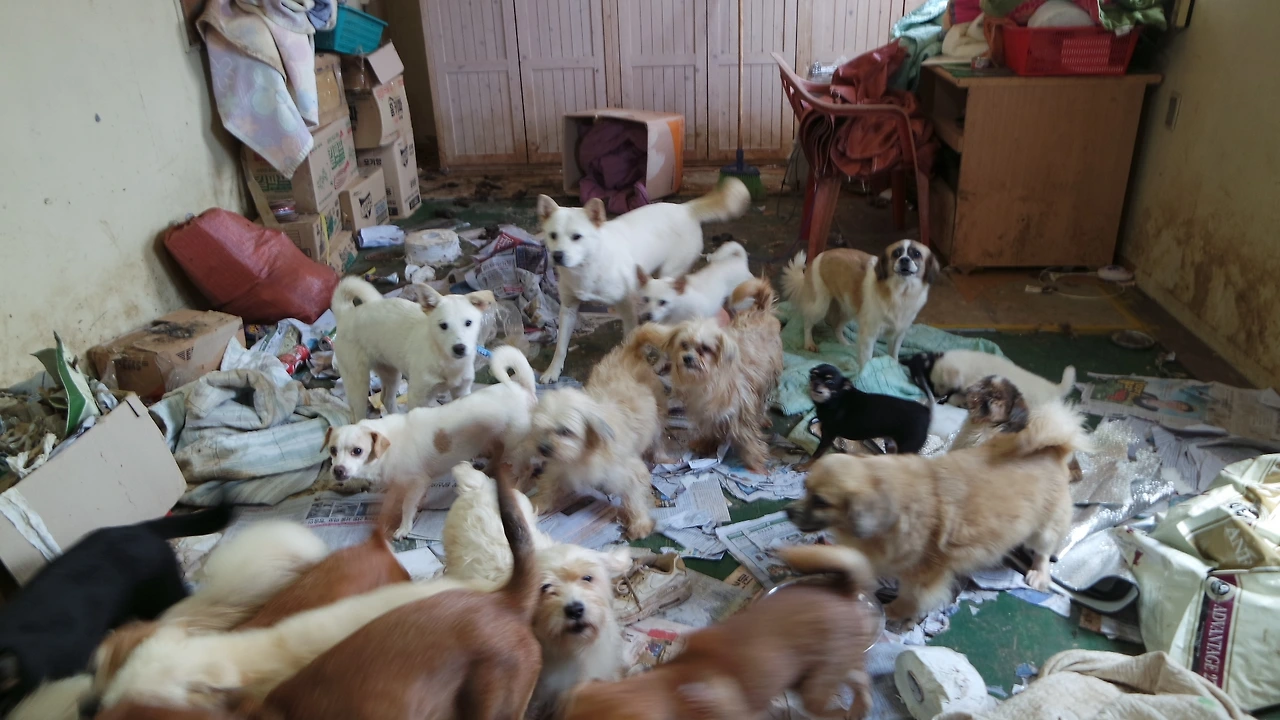 정남이네 (2).JPG