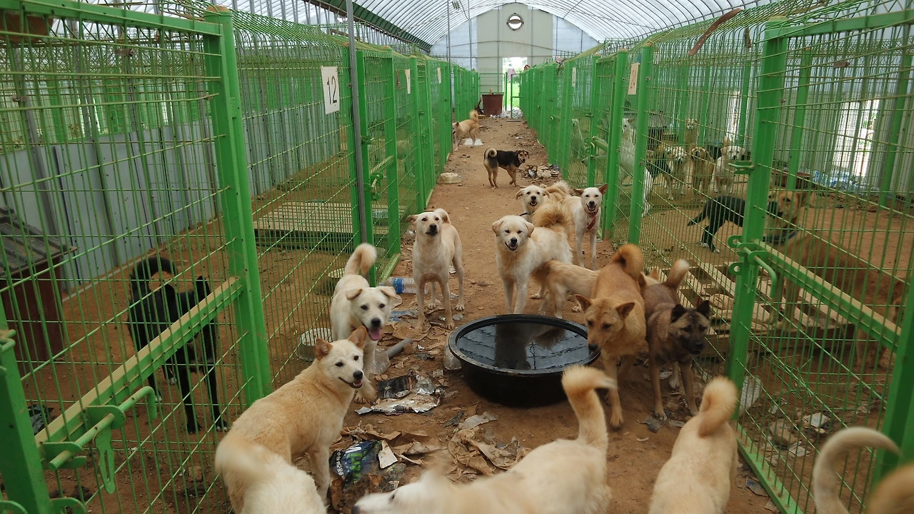 정남이네 (4).JPG