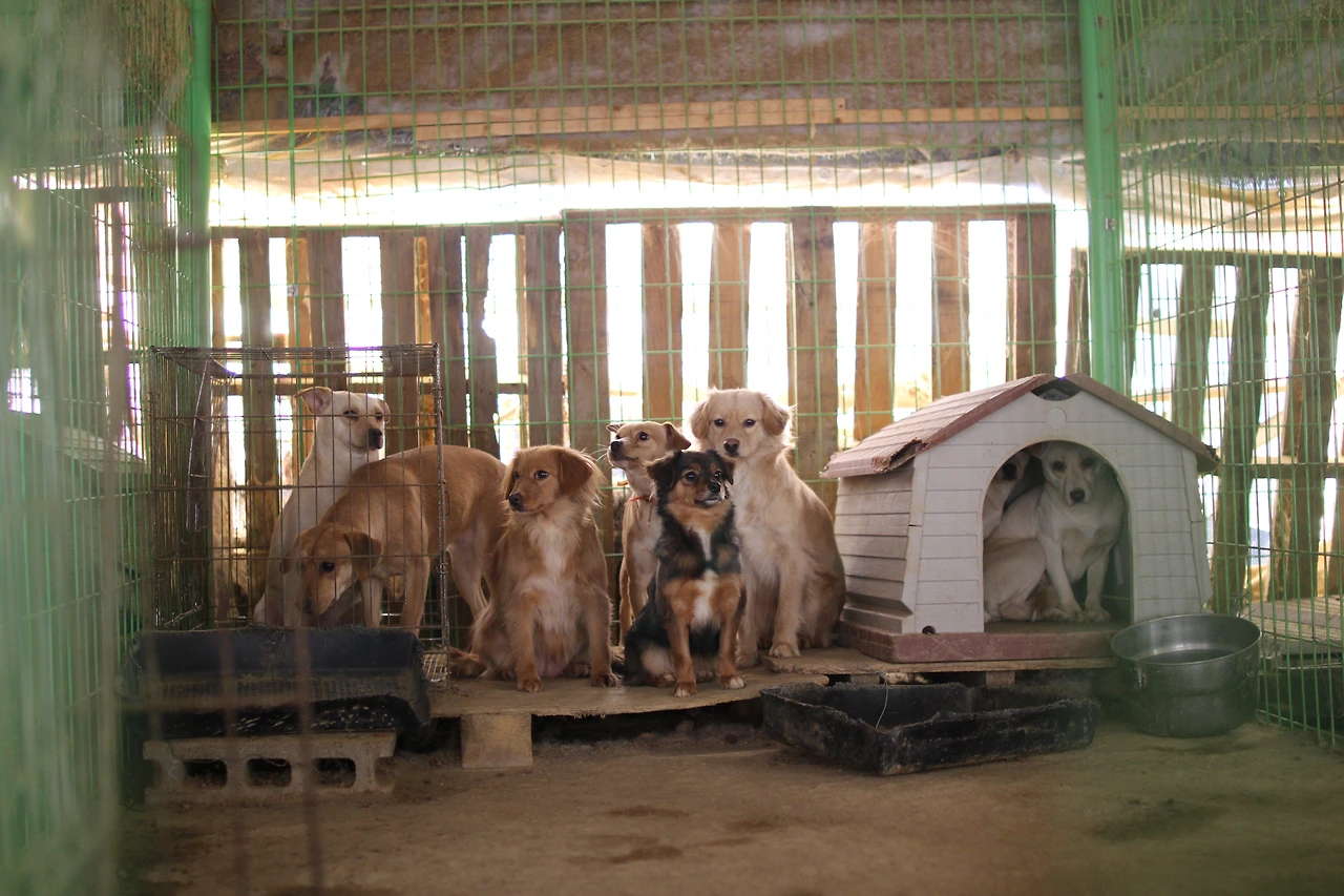 달봉이네 (2).JPG