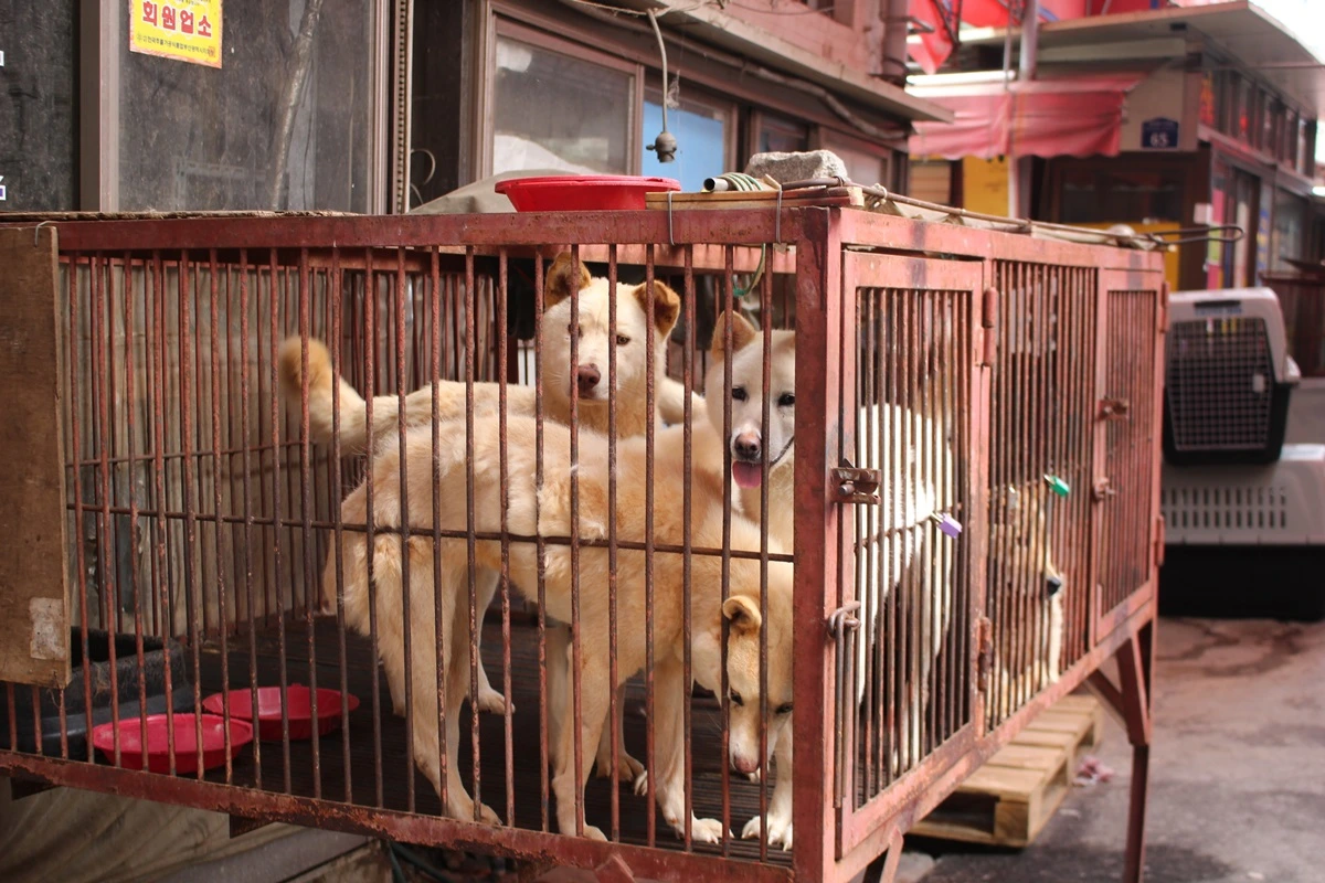 구포 개시장 구조 (18).JPG