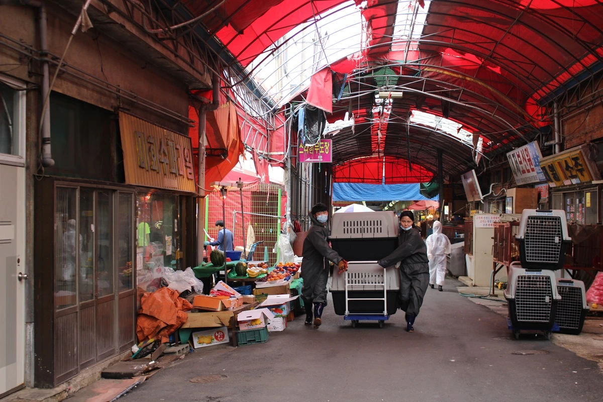 구포 개시장 구조 (11).JPG