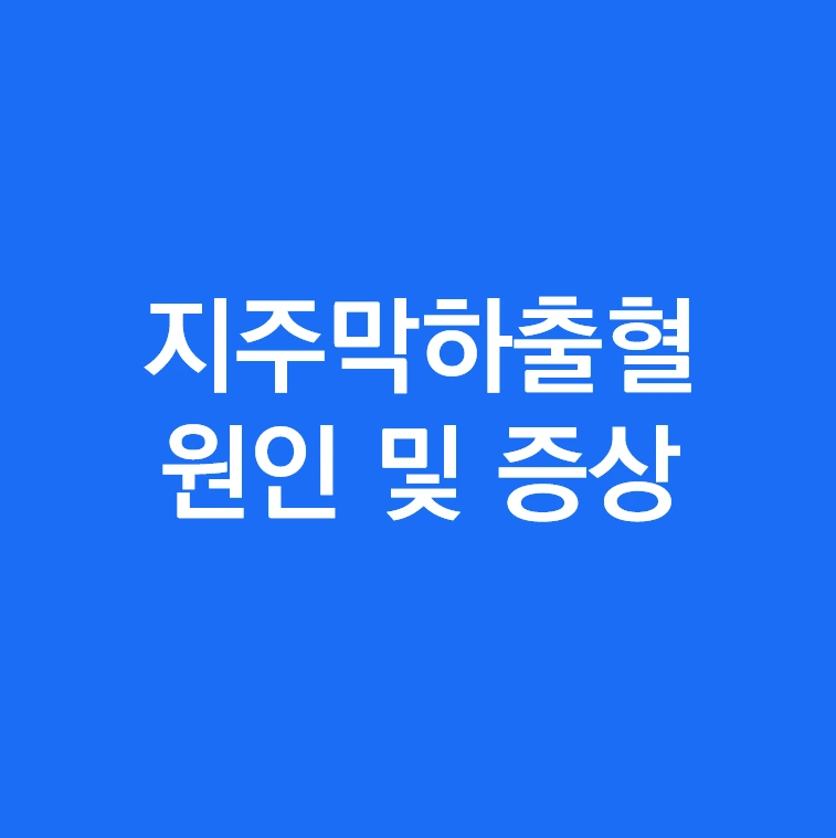 지주막하출혈이란 원인 및 증상.PNG