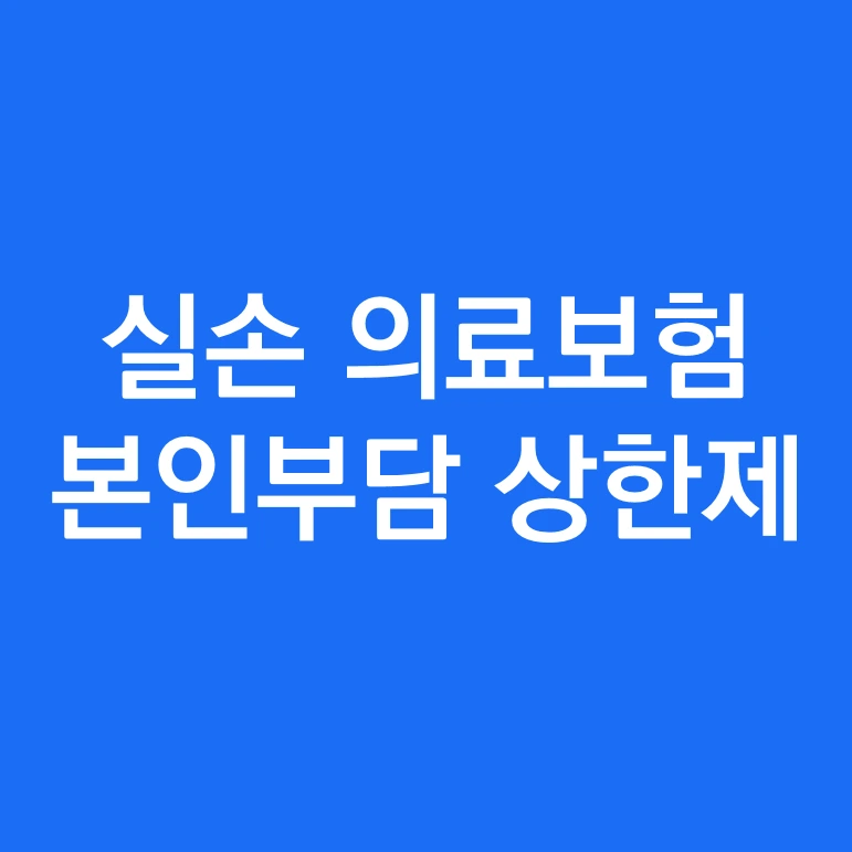 실손의료보험 본인부담 상한제 표준약관.PNG