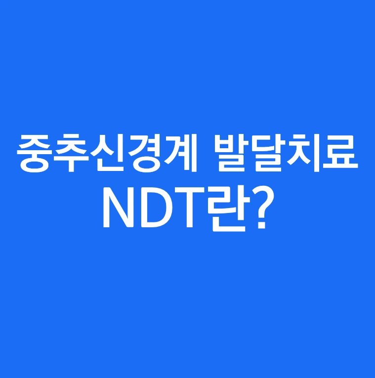 중추신경계 발달치료(NDT).PNG