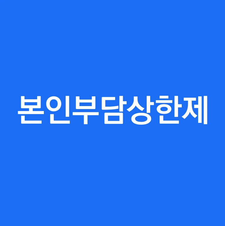 본인부담상한제란.PNG