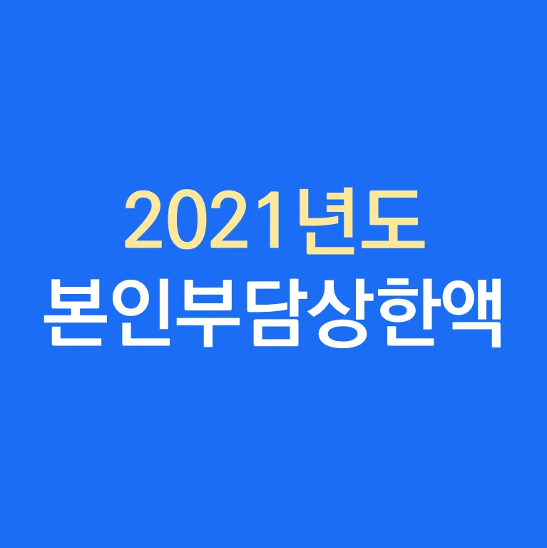 2021년도 본인부담상한액 산정방법 적용방법.PNG