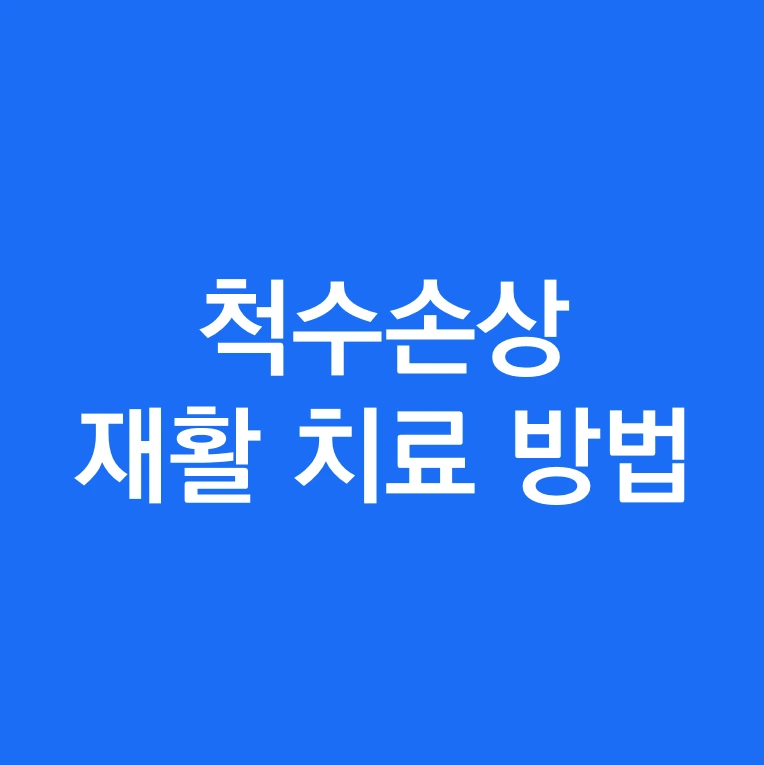 캡처척수 손상 재활 치료 방법.PNG