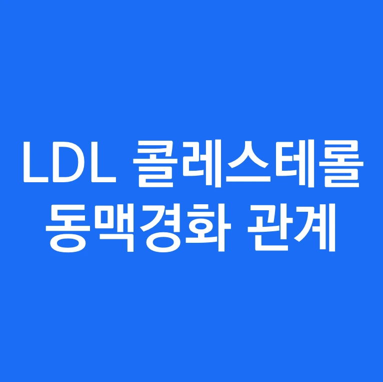 LDL 콜레스테롤과 동맥경화의 관계.PNG
