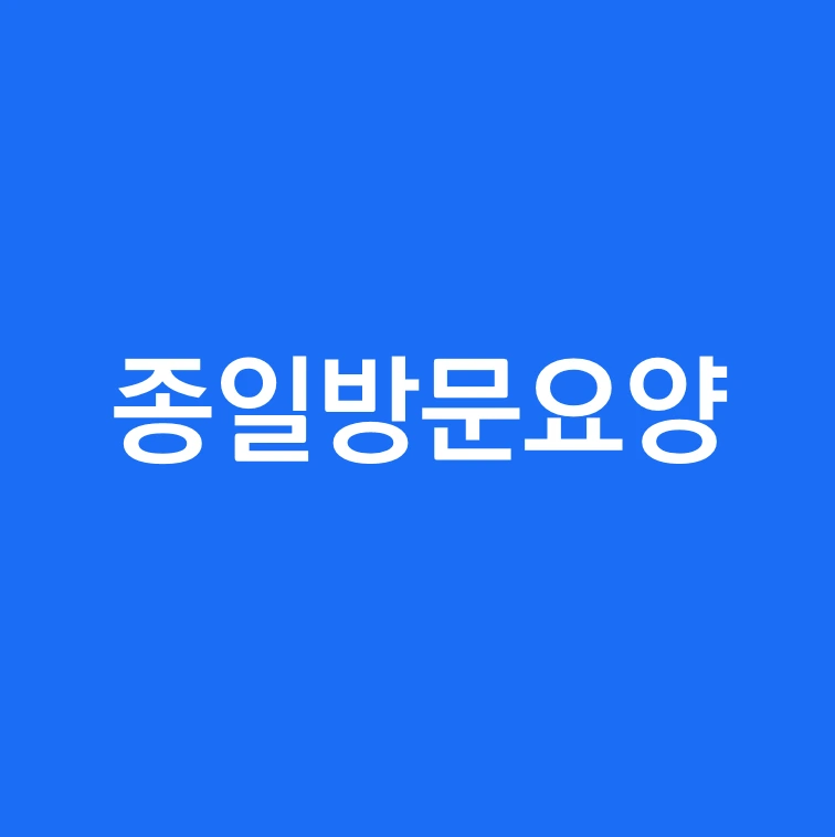 종일방문요양 서비스란.PNG